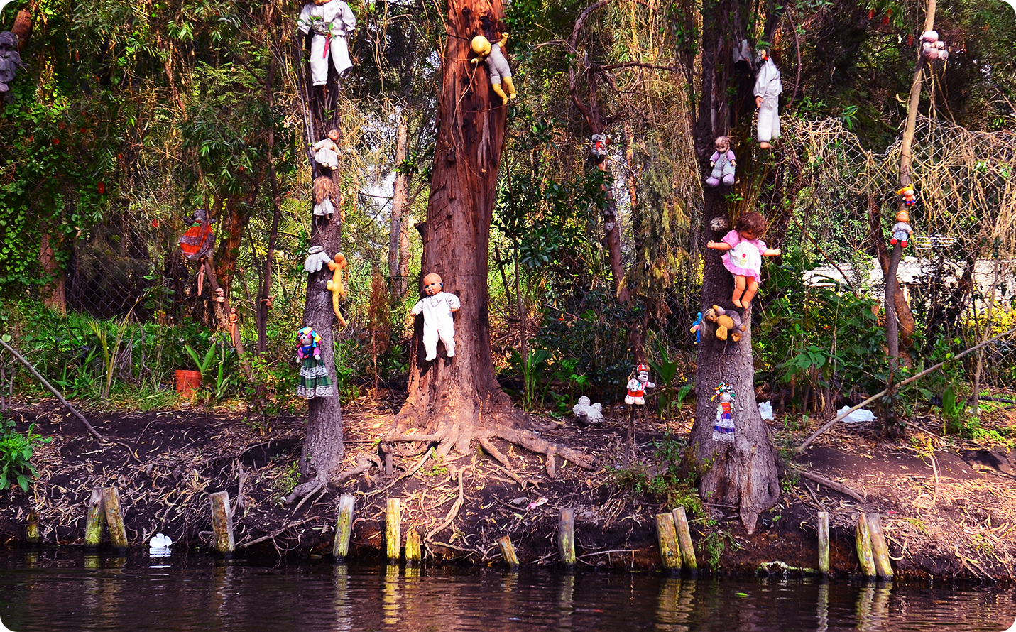 Island of the Dolls, Mexico