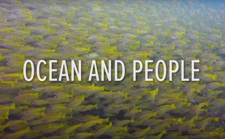 Ocean and people