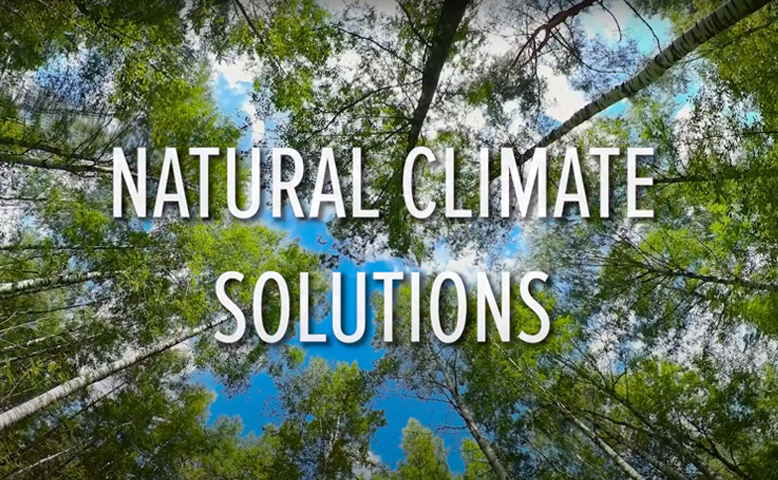 Natural Climate Solutions