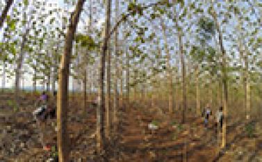 Paliyan Wildlife Sanctuary